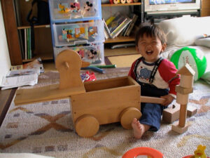 木のつみき　プルトイ　オークビレッジ　コロボックス