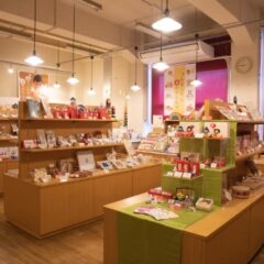 「良いおもちゃ」と出会える場所。親子の遊びを豊かにする《APTY（アプティ）》の魅力