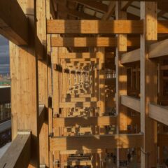 2025年の大阪・関西万博で注目を集めている「大屋根リング」